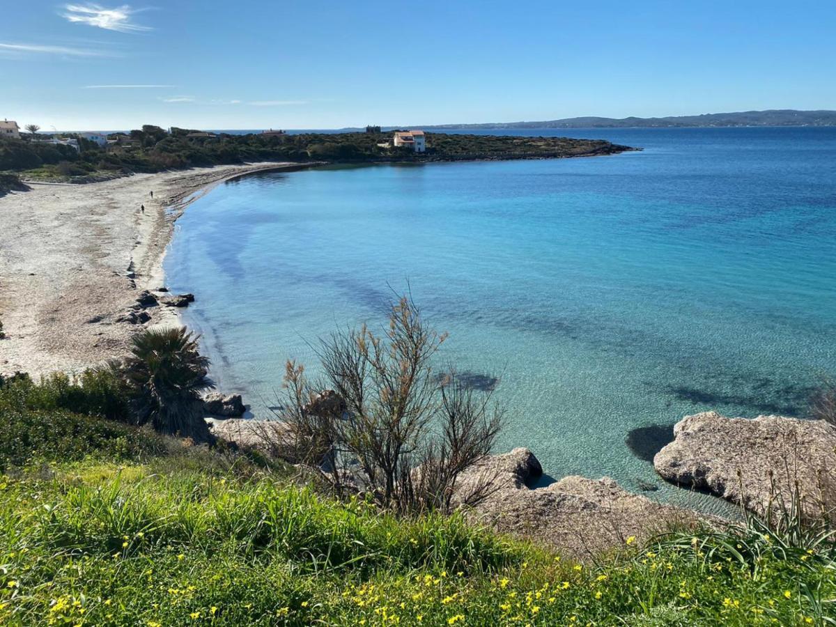 I Fenicotteri - Appartamenti Sul Mare Calasetta Buitenkant foto